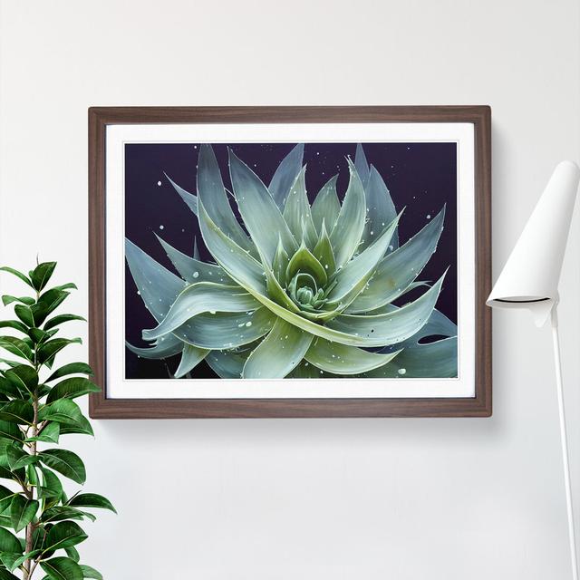 Electrifying Aloe Vera Plant - Picture Frame Painting Bloomsbury Market Frame Colour: Walnut, Size: 25cm H x 34cm W x 2cm D on Productcaster.