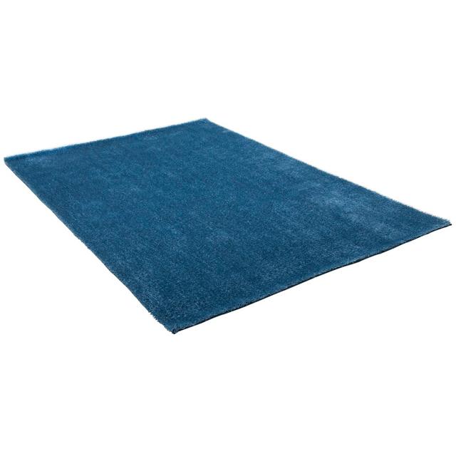 Amiyas Hand Tufted Blue Rug 17 Stories Rug Size: Rectangle 80 x 150cm on Productcaster.