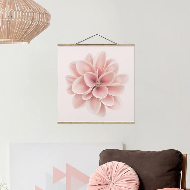 Wandbild Dahlia Pink Pastel Flower Centered Mercer41 Größe: 35 cm H x 35 cm B x 0,3 cm T on Productcaster.