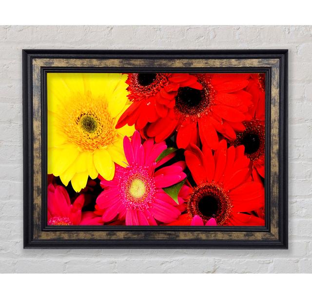 Gerbera Galore - Print Bright Star Size: 21cm H x 42cm W x 8cm D on Productcaster.