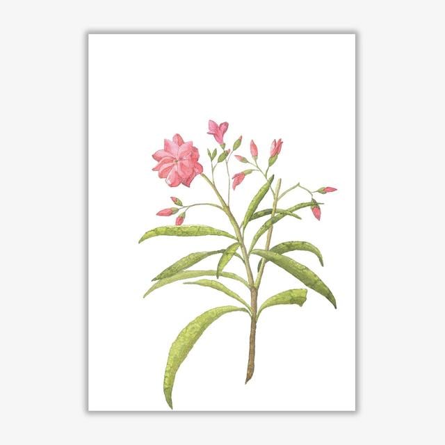 Pink Flower - Print East Urban Home Size: 60 cm H x 42 cm W x 1 cm D, Format: No Frame on Productcaster.