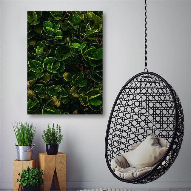 Leinwandbild Botanical Green Sansibar Home Größe: 70 cm H x 50 cm B on Productcaster.