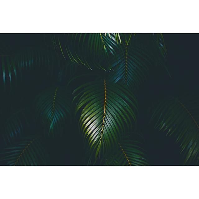 Palm Leaves Background by Jasmina007 - Print 17 Stories Size: 81cm H x 122cm W on Productcaster.