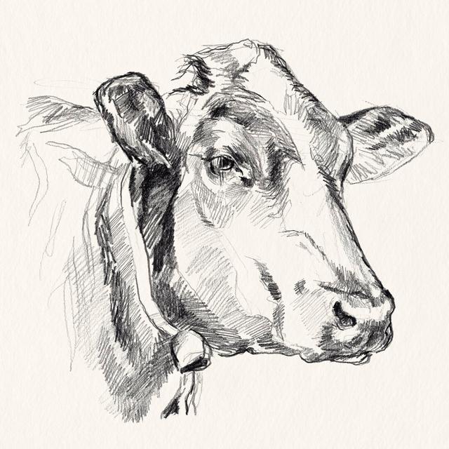 Holstein Portrait Sketch I by Jennifer Paxton Parker - Wrapped Canvas Painting August Grove Size: 51cm H x 51cm W x 3.8cm D on Productcaster.