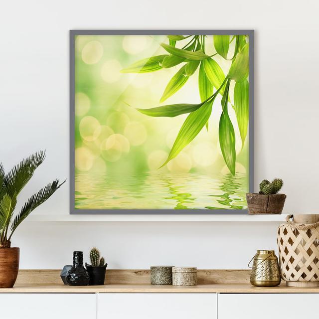 Green Ambiance I - Picture Frame Graphic Art Rosalind Wheeler Frame Option: Grey Framed, Size: 50cm H x 50cm W x 2cm D on Productcaster.