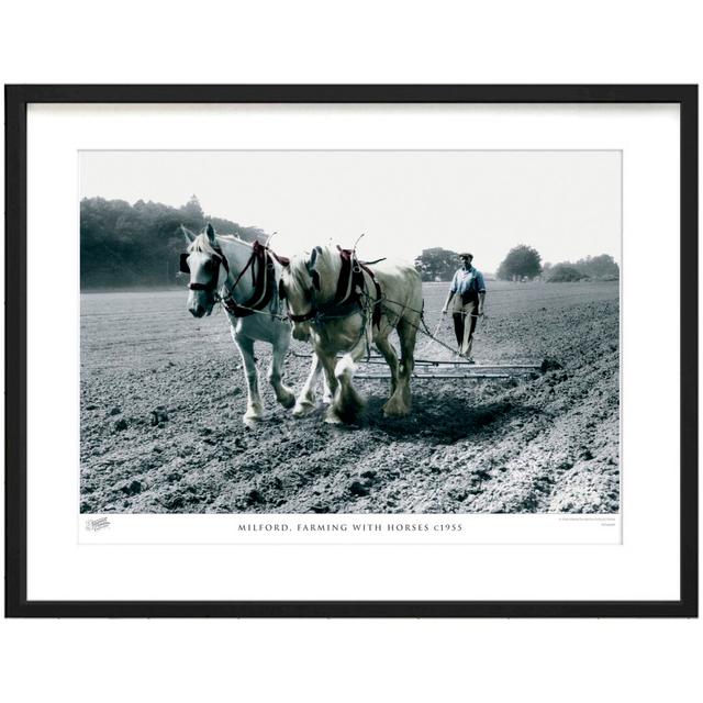 'Milford, Farming with Horses C1955' by Francis Frith - Picture Frame Photograph Print on Paper The Francis Frith Collection Size: 45cm H x 60cm W x 2 on Productcaster.