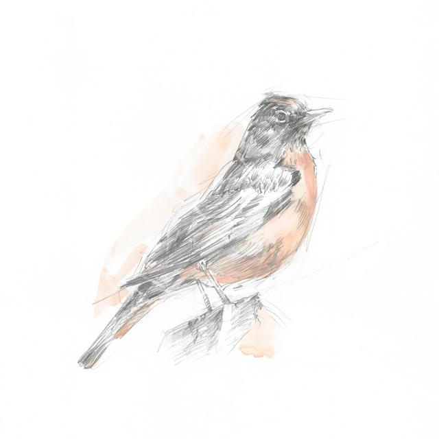 Robin Bird Sketch I by Ethan Harper - Wrapped Canvas Painting Rosalind Wheeler Size: 30cm H x 30cm W x 3.8cm D on Productcaster.