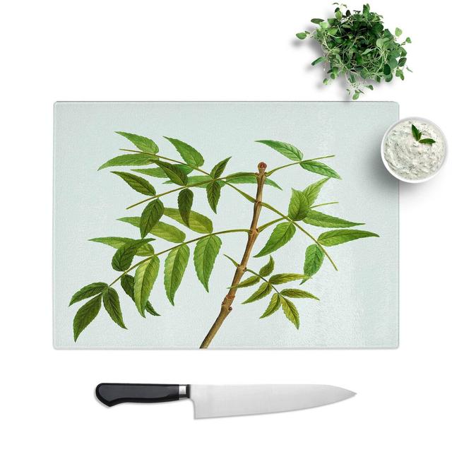 Glass European Ash Tree Branch by Pierre-Joseph Redoute Chopping Board East Urban Home Size: 28.5 cm W x 20 cm L on Productcaster.