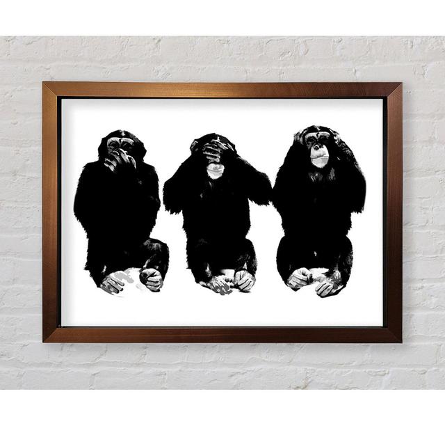 Speak No Evil See No Evil Hear No Evil - Single Picture Frame Art Prints Bright Star Size: 42cm H x 59.7cm W on Productcaster.