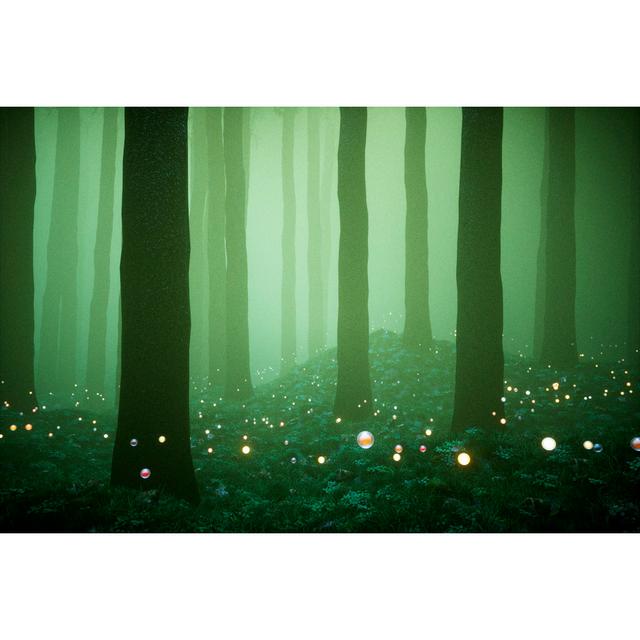 Forest With Mysterious Glowing Orbs by Gremlin - Wrapped Canvas Art Prints Alpen Home Size: 30cm H x 46cm W on Productcaster.