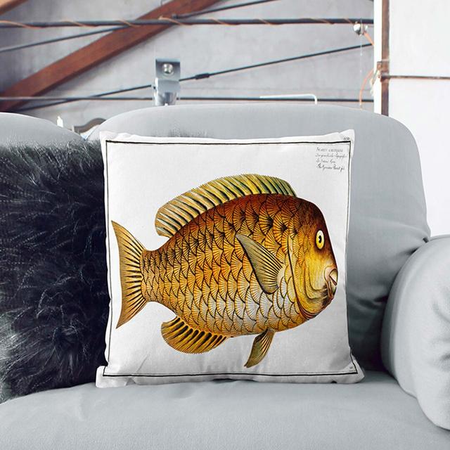 Grecian Parrot-Fish by M.E. Bloch Cushion with Filling East Urban Home Size: 40cm H x 40cm W x 15cm D, Backing Colour: White on Productcaster.