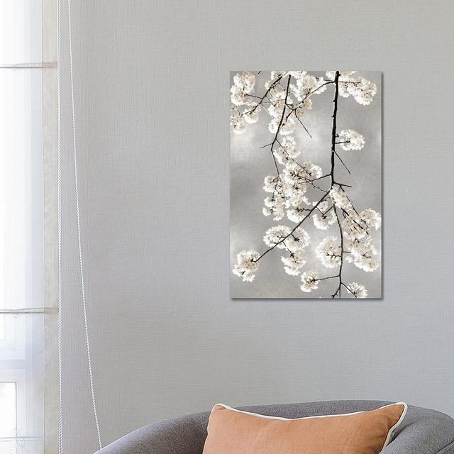 White Blossoms on Silver IV by Kate Bennett - Wrapped Canvas Art Prints Ophelia & Co. Size: 66.04cm H x 45.72cm W on Productcaster.