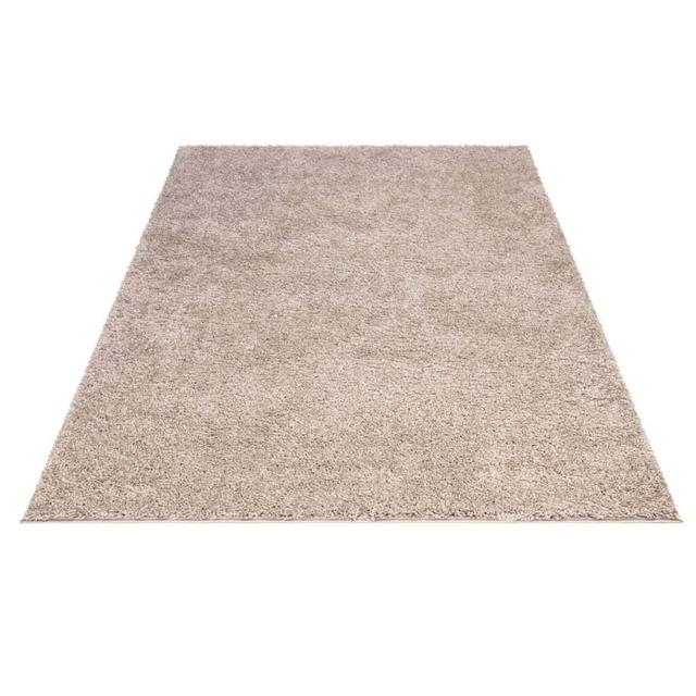 Shaggy Beige Rug Ebern Designs Rug Size: Rectangle 230 x 320cm on Productcaster.