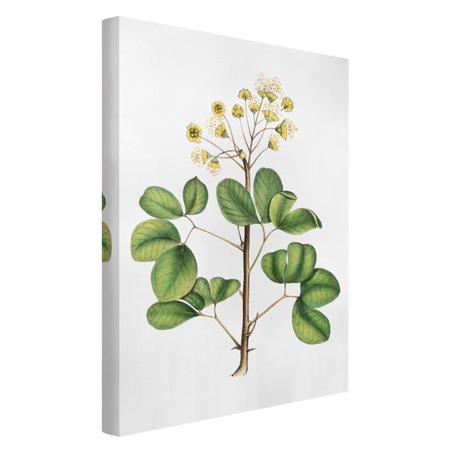 Foliage With Flowers Iv - Wrapped Canvas Rectangle Graphic Art on Canvas August Grove Size: 60cm H x 40cm W on Productcaster.