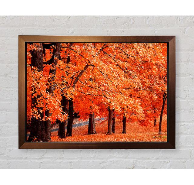 Single Picture Frame Art Prints Union Rustic Size: 59.7cm H x 84.1cm W on Productcaster.