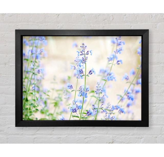 Blue Small Flowers - Print Bright Star Size: 100.1cm H x 141.4cm W x 3.4cm D on Productcaster.