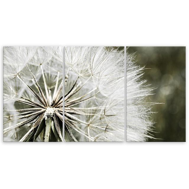 Canvas Print Blower White Flowers Ebern Designs Size: 40cm H x 60cm W x 2cm D on Productcaster.