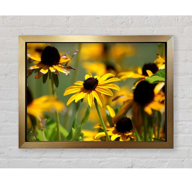 Yellow Flowers In The Garden - Print August Grove Format: Gold Framed Paper, Size: 59.7cm H x 84.1cm W x 3.4cm D on Productcaster.