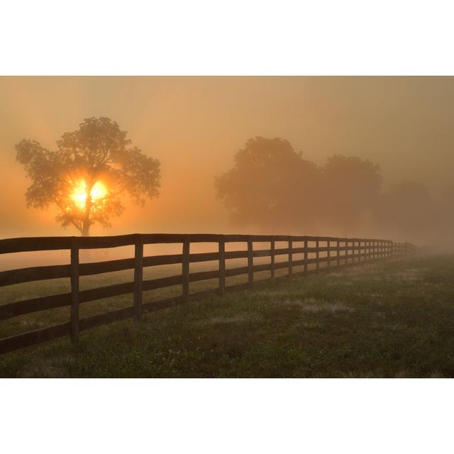 Dulcinea Country Summer Morning - Wrapped Canvas Photograph Brambly Cottage Size: 20cm H x 30cm W x 3.8cm D on Productcaster.