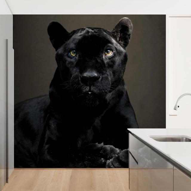 Black Puma 3.36m x 3.36m Textured Matte Peel & Stick Wall Mural East Urban Home on Productcaster.