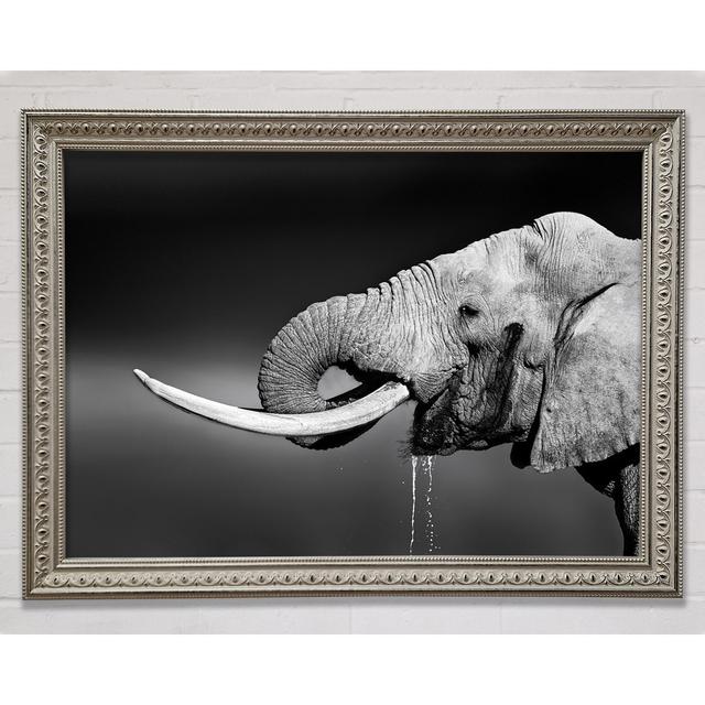 Elefant trinken Gerahmter Druck Brayden Studio Größe: 42cm H x 59,7cm B x 3,4cm T, Format: Poster mit goldenem Rahmen on Productcaster.