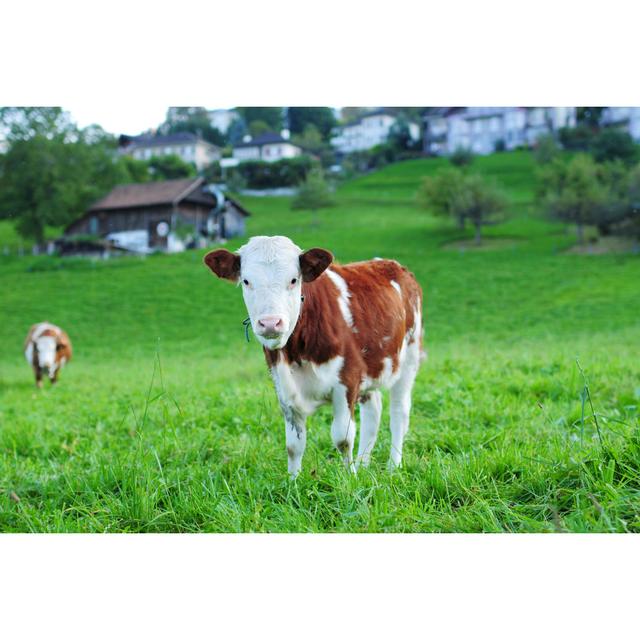 Swiss Cow Eating Grass - XLarge by PhotoTalk - No Frame Art Prints on Canvas Brambly Cottage Size: 51cm H x 76cm W on Productcaster.