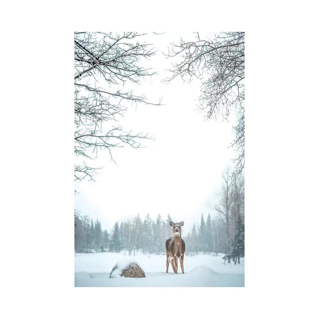 Deer In Deep Snow by Nik Rave - Wrapped Canvas Print Alpen Home Size: 45.72cm H x 30.48cm W x 1.9cm D on Productcaster.