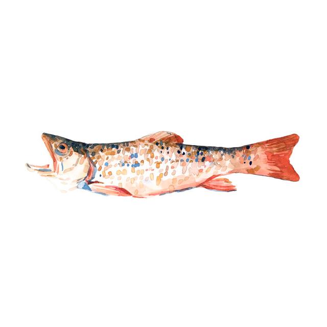 Freckled Trout I by Emma Scarvey - Wrapped Canvas Painting Print Blue Elephant Size: 61cm H x 91cm W on Productcaster.