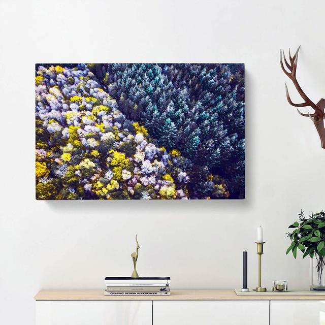 Two Forests in Denmark - Wrapped Canvas Graphic Art Print East Urban Home Size: 35cm H x 50cm W x 3cm D on Productcaster.