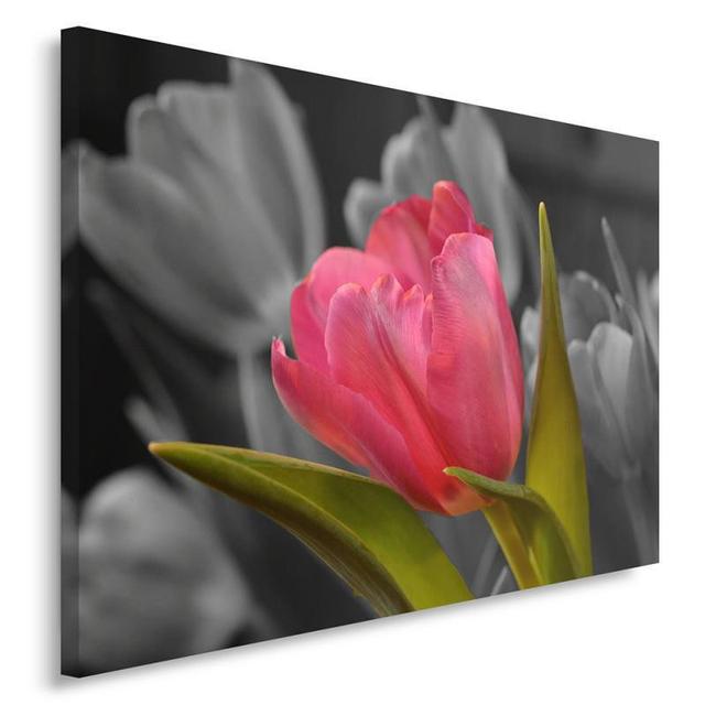 'Red Tulip' Panting Print on Canvas Latitude Run Size: 70cm H x 100cm W on Productcaster.