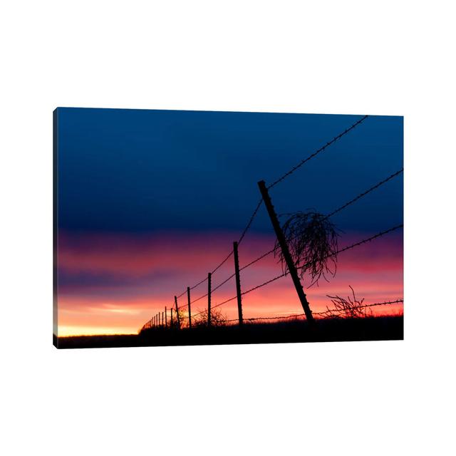 Tumble Weed by Dan Ballard - Wrapped Canvas Photograph Latitude Run Size: 66.04cm H x 101.6cm W x 3.81cm D on Productcaster.