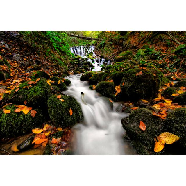 Waterfall by Muhur - Wrapped Canvas Photograph Alpen Home Size: 30cm H x 46cm W on Productcaster.