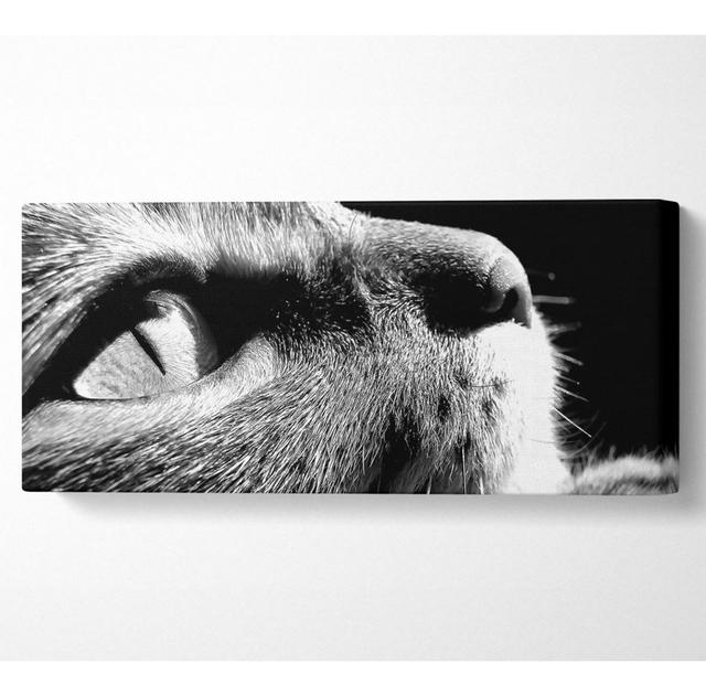 Nostalgische Katze - Druck Ebern Designs Größe: 81,3 cm H x 183 cm B x 10 cm T on Productcaster.