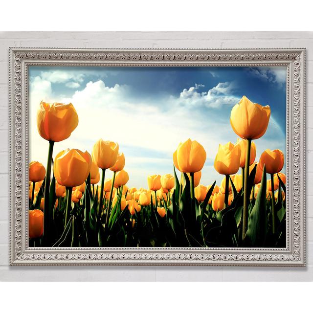 Yellow Tulips In The Cloudy Skies - Single Picture Frame Print Latitude Run Size: 29.7cm H x 42cm W x 3cm D, Format: White Framed Paper on Productcaster.