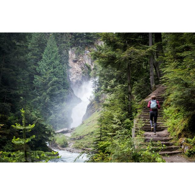 Woman Hiking In A Lush Green Forest by Nattrass - No Frame Art Prints on Canvas Alpen Home Size: 30cm H x 46cm W on Productcaster.