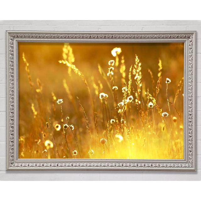 Summer Sunlight Over Field Framed Print Bright Star Size: 21cm H x 29.7cm W on Productcaster.