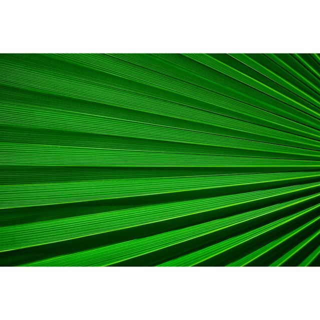 Palm Leaf Detail by Bluberries - Wrapped Canvas Art Prints 17 Stories Size: 50cm H x 75cm W on Productcaster.