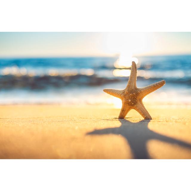 Starfish On The Beach At Sunrise Highland Dunes Size: 20cm H x 30cm W x 3.8cm D on Productcaster.