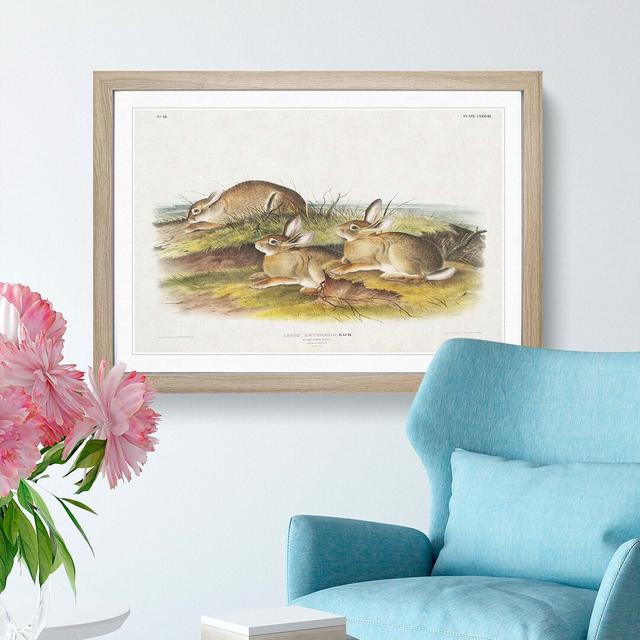 Warm Wood Hare by J.W. Audubon - Picture Frame Painting Print East Urban Home Size: 27cm H x 36cm W x 2cm D, Frame Option: Oak Framed on Productcaster.