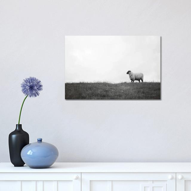 Islay Sheep II by Laura Marshall - Wrapped Canvas Print Brambly Cottage Size: 30.48cm H x 45.72cm W x 1.91cm D on Productcaster.