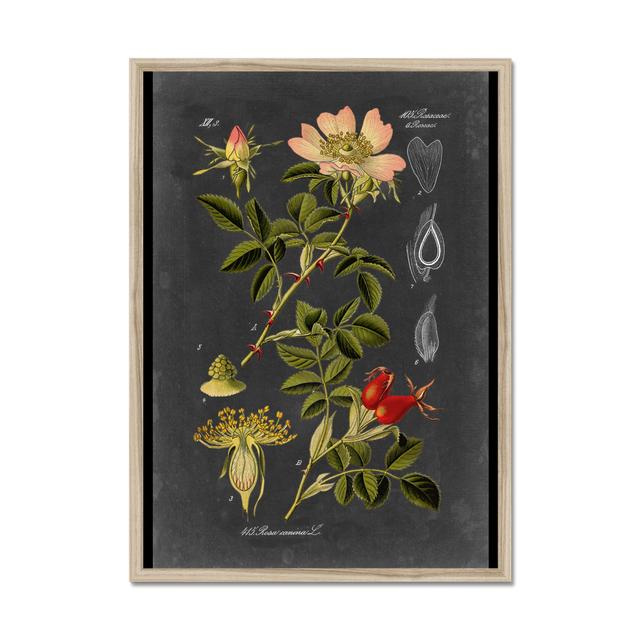 Midnight Botanical I by Vision Studio - Print Marlow Home Co. Format: Natural Wood Framed Paper Print, Size: 80cm H x 55cm W on Productcaster.