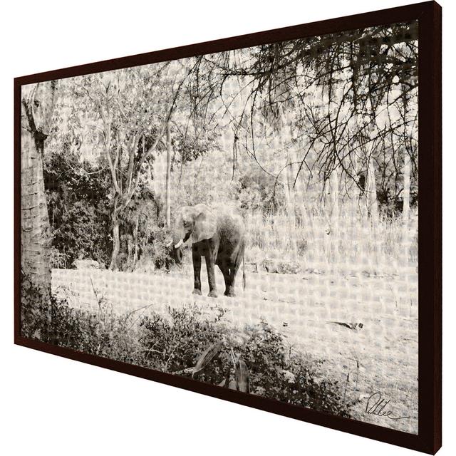 Elephant Jungle - Single Picture Frame Print Alpen Home Frame Option: Brown, Size: 31cm H x 41cm W x 4cm D on Productcaster.