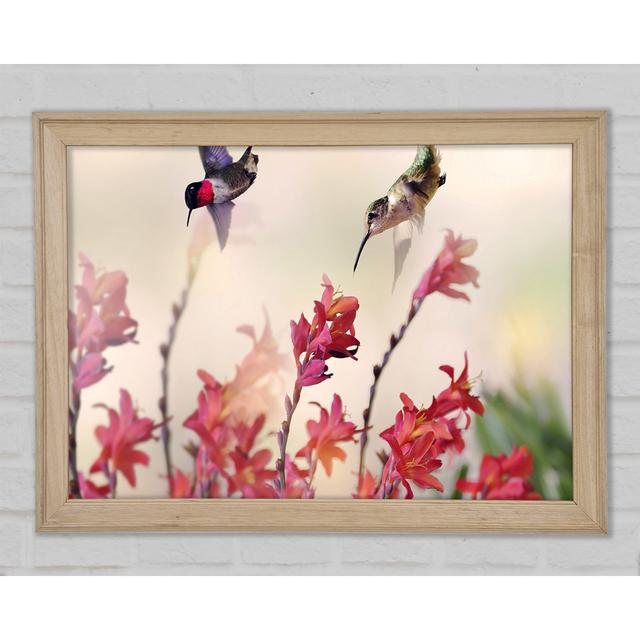 Hummingbird Delight - Druck Marlow Home Co. Größe: 42 cm H x 59,7 cm B x 1,5 cm T on Productcaster.