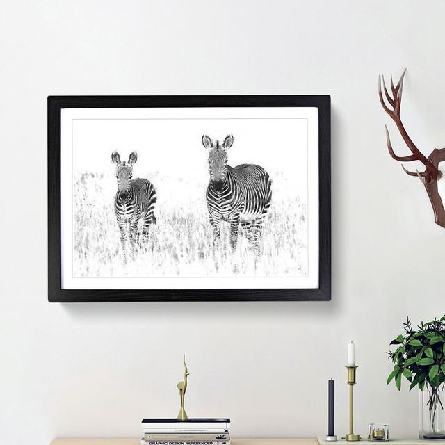 Two Zebras - Picture Frame Painting Print East Urban Home Size: 24cm H x 33cm W x 2cm D, Frame Option: Black Framed on Productcaster.