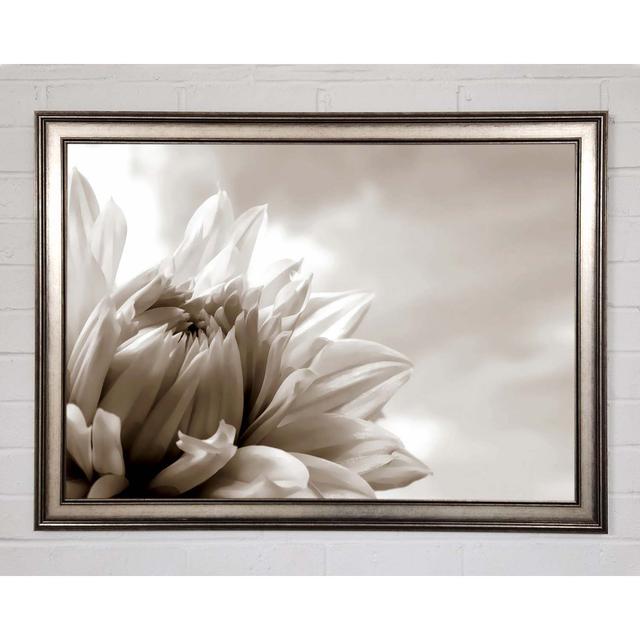 Blossoming Sepia - Print Brayden Studio Size: 21cm H x 29.7cm W x 1.5cm D, Format: Natural Framed Paper on Productcaster.