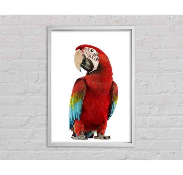 Blue Macaw Parrot - Print Bright Star Size: 118.9cm H x 84.1cm W x 3.3cm D on Productcaster.