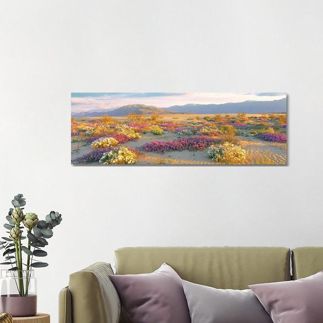 Sand Verbena And Primrose Growing In Sand Dunes Of Anza-Borrego Desert State Park, California, USA - Wrapped Canvas Panoramic Print Ophelia & Co. Size on Productcaster.