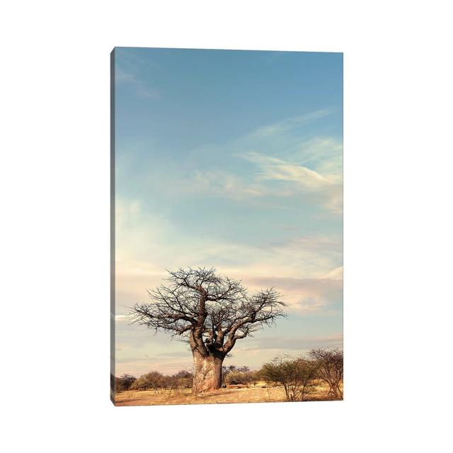 Naye Naye Baobab IV by Klaus Tiedge - Wrapped Canvas Print ClassicLiving Size: 30.48cm H x 20.32cm W x 1.905cm D on Productcaster.