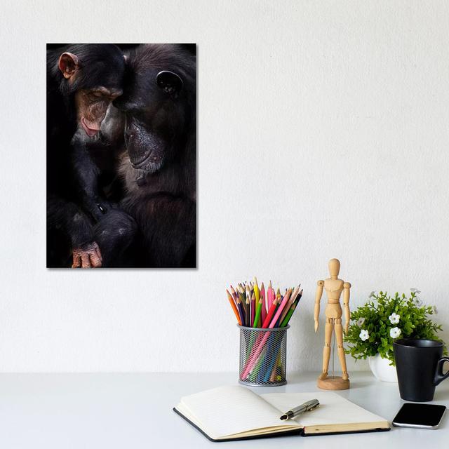 Chimpanzees by David Whelan - Wrapped Canvas Photograph Latitude Run Size: 30.48cm H x 20.32cm W x 1.91cm D on Productcaster.