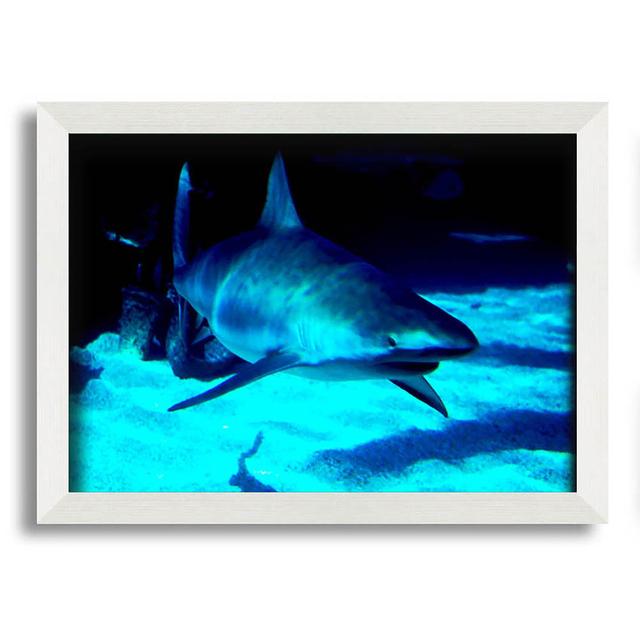 Ewelina Shark Hunt - Closed Corner Frame Art Prints House of Hampton Size: 59.7cm H x 84.1cm W x 10cm D on Productcaster.